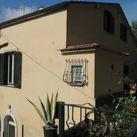 L'albero Della Vita