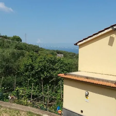 L'albero Della Vita Couette-café