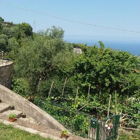 L'albero Della Vita *