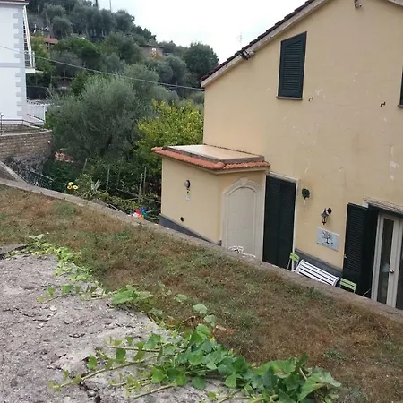 L'albero Della Vita